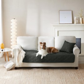 Allisandro Waterproof Pet Blanket, Reversible Pet Sofa Cover, Pet Couch Protector, Large Pet Blankets for Dogs and Cats, Sofa Topper, 178x78cm, Grey Green