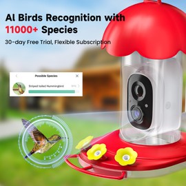 DOCOON Hummingbird Feeder with Camera Solar Powered, Hummingbird Feeders for Outdoors with 2K Bird Watching Camera, AI Identify Bird Species, Instant Notification, Idea Gift for Bi rd Lover(20 Ounces)
