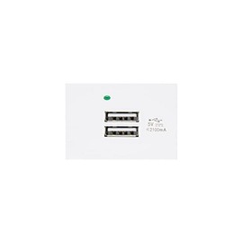 Maclean MCE728W USB Socket Charger 2x USB Ports up to 2.1A Fast Charge Modular Wall Socket Flush-Mounted Wall Socket Flush-Mounted Mounting (White)