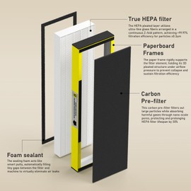 2 Packs FLT4825 HEPA Replacement Filter B Compatible with AC4825 AC4825E AC4300 AC4800 AC4900 AC4850, 2 True HEPA Filters & 6 Activated Carbon Pre-Filters