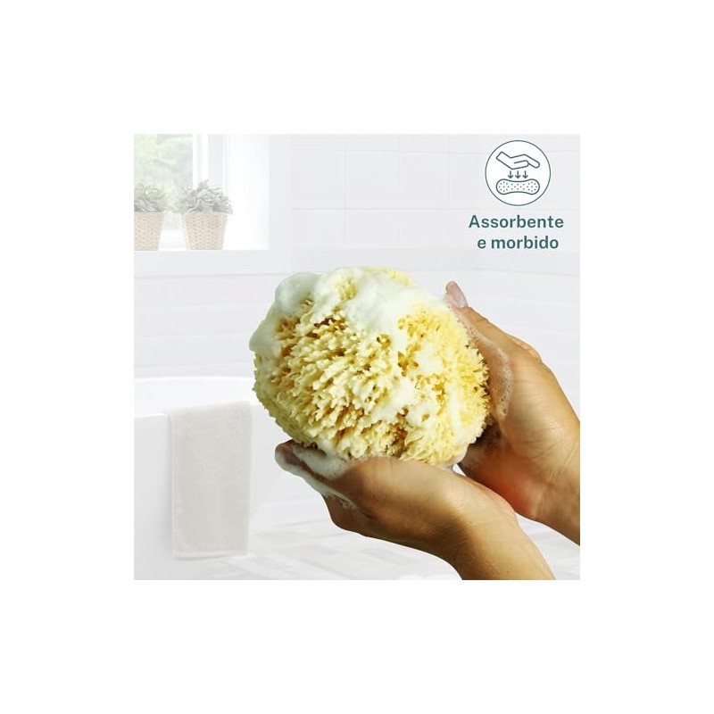Natürlicher mediterraner Schwamm für den Körper, nicht synthetisch (16-18 cm