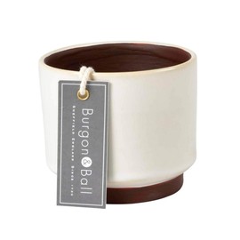 Burgon & Ball Malibu Succulent Planter Plant Pot, Cream