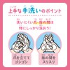 Biore u Body Wash with Foam Kirby Design, Angel Rose