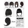 GFun Bangs Wig, Thick, Natural, Full Hand Plant, Partial Wig,