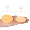 50-Count Compressed, GAINWELL Cellulose, 100% Natural Cosmetic Spa sponges for