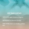 Michael Malul KTORET 831 San Lucas Eau de Parfum for