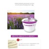 3EA Lindsay Modeling Mask Cup Pack #Lavender