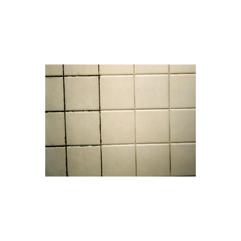 Bio-beautifying Set of 4 for mold prevention, mold removal, and