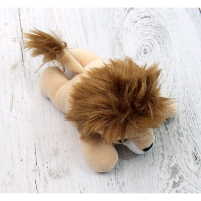 takeoff pokepuni lion