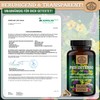 PMS Intenso® PMS Capsules – Important: Laboratory Tested Vital Complex