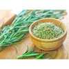 Seeds4planting - Seeds Rosemary for Planting Non GMO Heirloom
