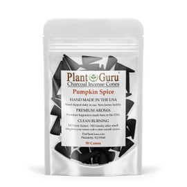 Pumpkin Spice Charcoal Incense Cones 1" TOPFLOW - 50 Pack - Natural Scented Cones Handmade Hand Dipped