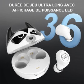 Auriculares inalámbricos verdaderos, Bluetooth 5.0 con reducción de ruido y funda de carga, lindos auriculares intrauditivos para niños, 36H tiempo de reproducción IPX5 resistente al agua, control táctil, auriculares estéreo HiFi para adultos