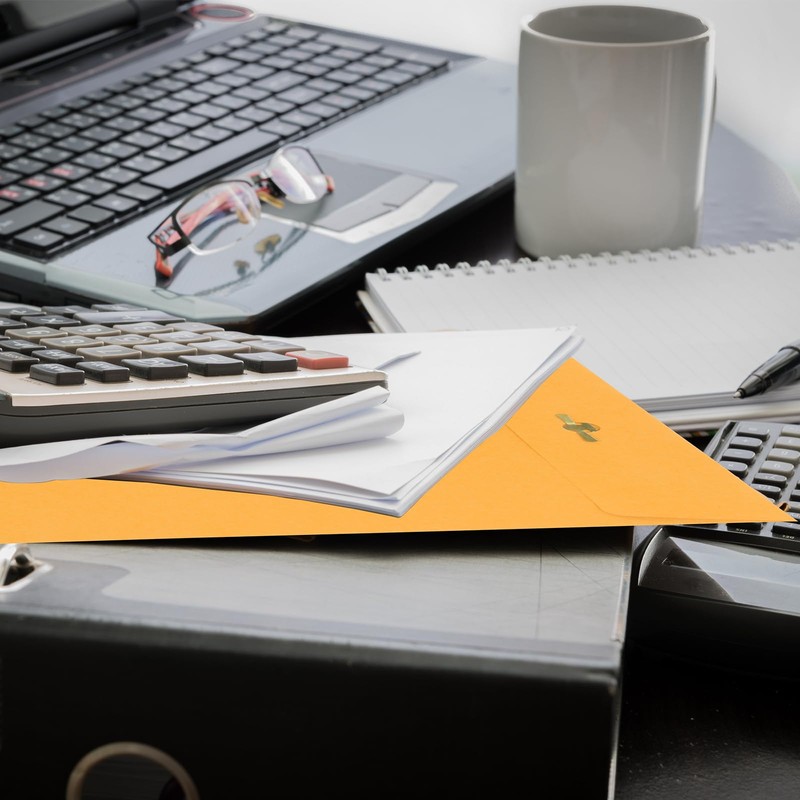 50 Pcs 9 x 12 Manilla Envelopes Clasp Envelope Kraft