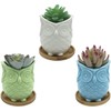 Ceramic Owl Succulent Planter Pot with Drainage Tray, Cute Animal