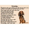 Dachshund Dog Memorial pet loss Fridge Magnet Gift - Someday