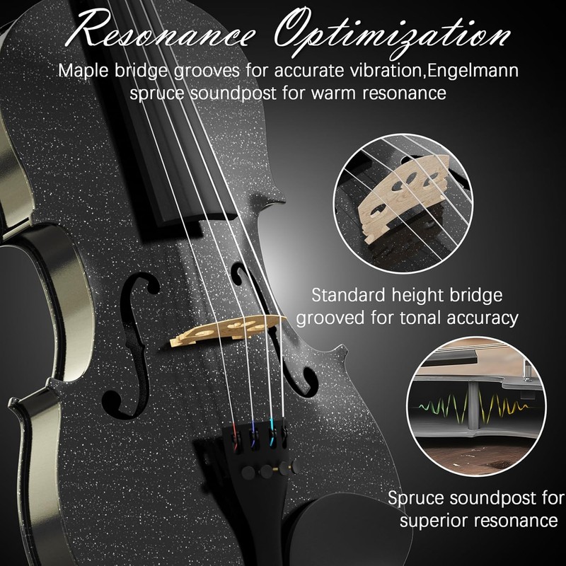 4/4 Beginner Violin Kit for Adults, Complete Full Size Violin