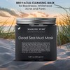 MAJESTIC PURE Dead Sea Mud Mask - Natural Face and