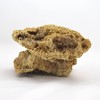 Reef Rock, 21 x 17 x 13 cm, Rock Stone