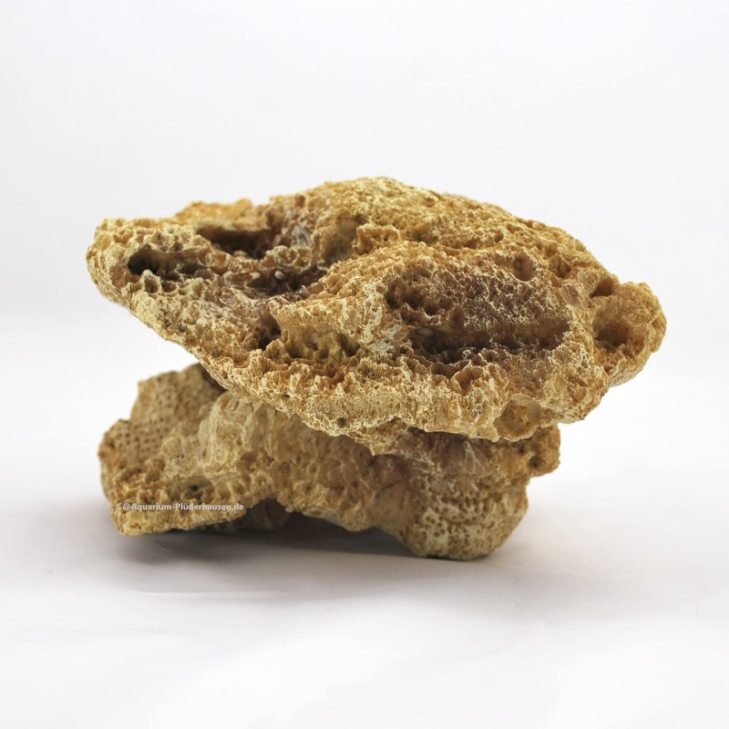 Reef Rock, 21 x 17 x 13 cm, Rock Stone