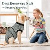 Kuoser Recovery Suit for Dogs After Surgery, Dog Surgery Leopard