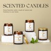 AOOVOO Eucalyptus Mint Candle - Eucalyptus Candle, Scented Candles, Soy