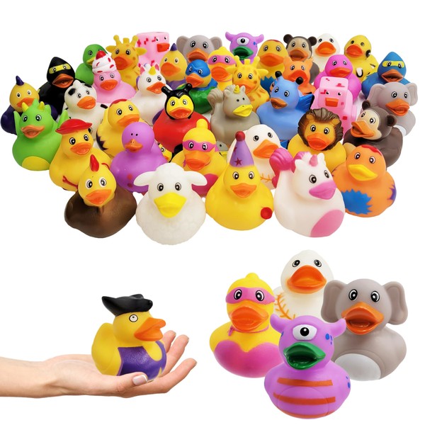 Assortment Rubber Duck Toy Duckies for Kids, Bath Birthday Gifts