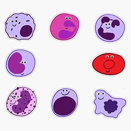 Magnet Smiley Blood Cells Magnet Bumper Sticker Car Magnet Flexible Reuseable Magnetic Vinyl 5"