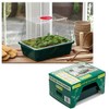 Garland GAL20SM Half-Size High-Dome Propagator, Green, 22x16x19 cm