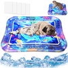 Thickened Sensory Water Mat for Cats & Dogs,Summer Cooling Playmat