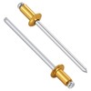 Wensilon (400 Pcs) 1/8"x1/4" Golden Aluminum blind pro Rivets,Golden Aluminum