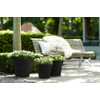 Elho 7611902343300 23 cm Green Basics Top Planter Flower Pot
