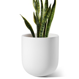 LE TAUCI 10 Inch Plant Pot, Ceramic Pots for Plants with Drainage Hole and Rubber Plug, Plant Pots Indoor for Olive Tree, Cylinder Planter Pot for Home Patio Office, White