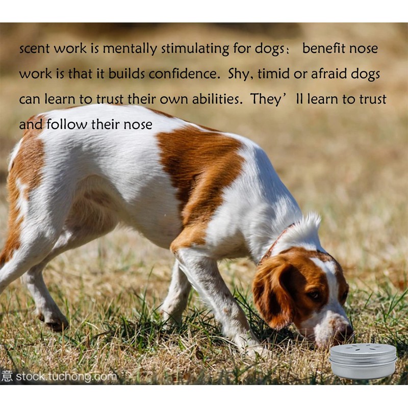 12 Pack Dog Nose Metal Container with 12 Magnetic Dogs