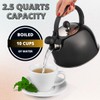 Venoly 2.5 Liter Whistling Tea Kettle - Modern Stainless Steel