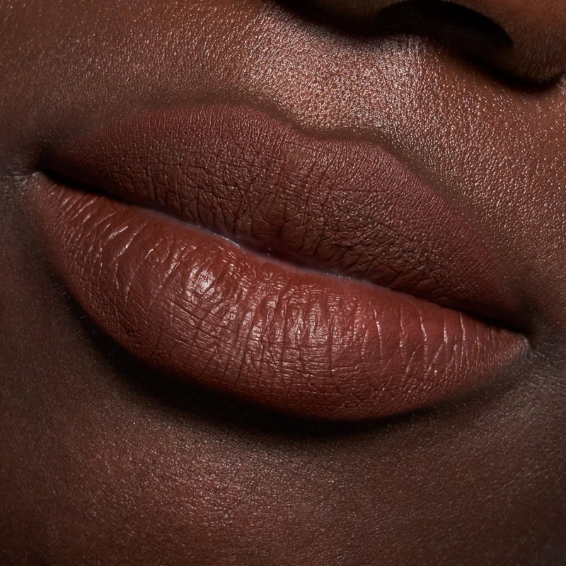 Catrice Plumping Lip Liner, No. 170, Brown, Moisturising, Long-Lasting, Matte,