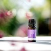 ECO. Modern Essentials Lavender Pure Essential Oil, 10ml