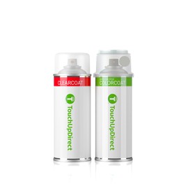 TouchUpDirect DR Avalanche Gray Compatible with Ford Exact Match Touch Up Paint Aerosol - Essential Kit