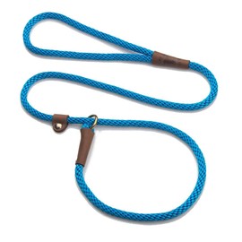 Mendota Pet Slip Leash - Dog Lead and Collar Combo - Made in The USA - Blue, 3/8 in x 6 ft - for Small/Medium Breeds
