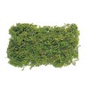 Earth Farms Natural Mountain Moss/with Sachet (50g) Green do61170 –