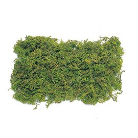 Earth Farms Natural Mountain Moss/with Sachet (50g) Green do61170 – 700