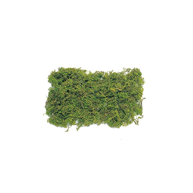 Earth Farms Natural Mountain Moss/with Sachet (50g) Green do61170 –