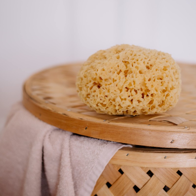 Croll and Denecke P180 Natural Sponge from the Mittelmeer, Premium Quality,