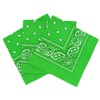 Laciteinterdite Set of 3 Paisley Bandanas for Men and Women,