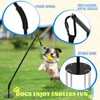 Outdoor Dog Tug Toy, Durable Spring Pole, 3 Ropes &