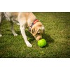 Petface Toyz Treat Ball