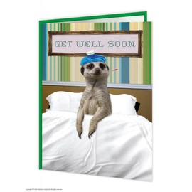 Get Well Soon Meerkat Card