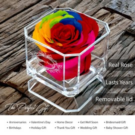 A 100% Real Rose That Lasts Years - Eternal Petals, Handmade in UK – White Gold Solo (Rainbow)