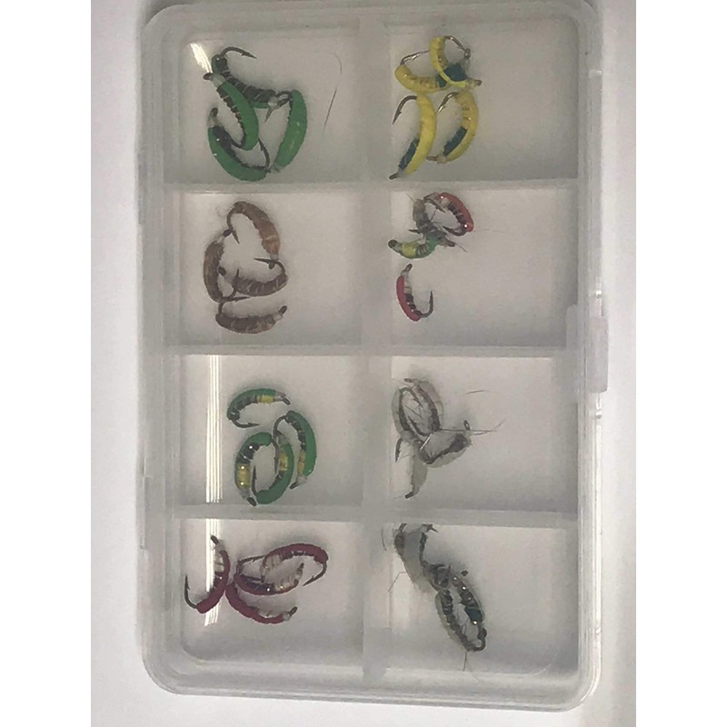BestCity Fast sinking Czech nymphs Box of 24 Fishing Flies