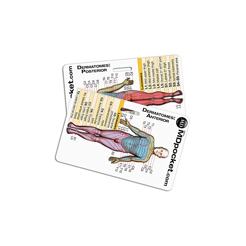 Rapid ID - Dermatomes (Horizontal)